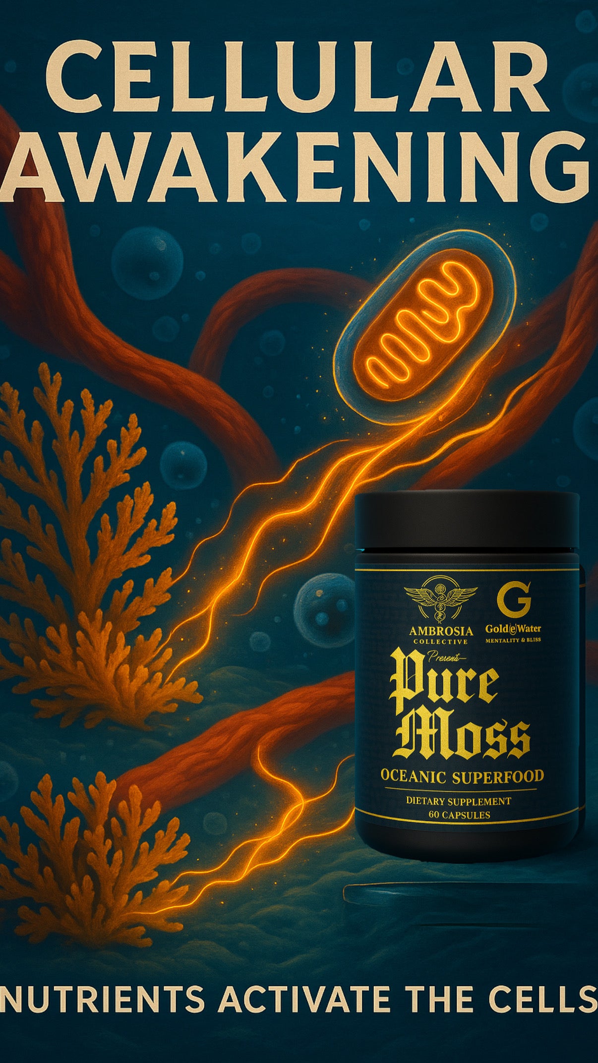 Pure Moss - Vegan Sea Moss