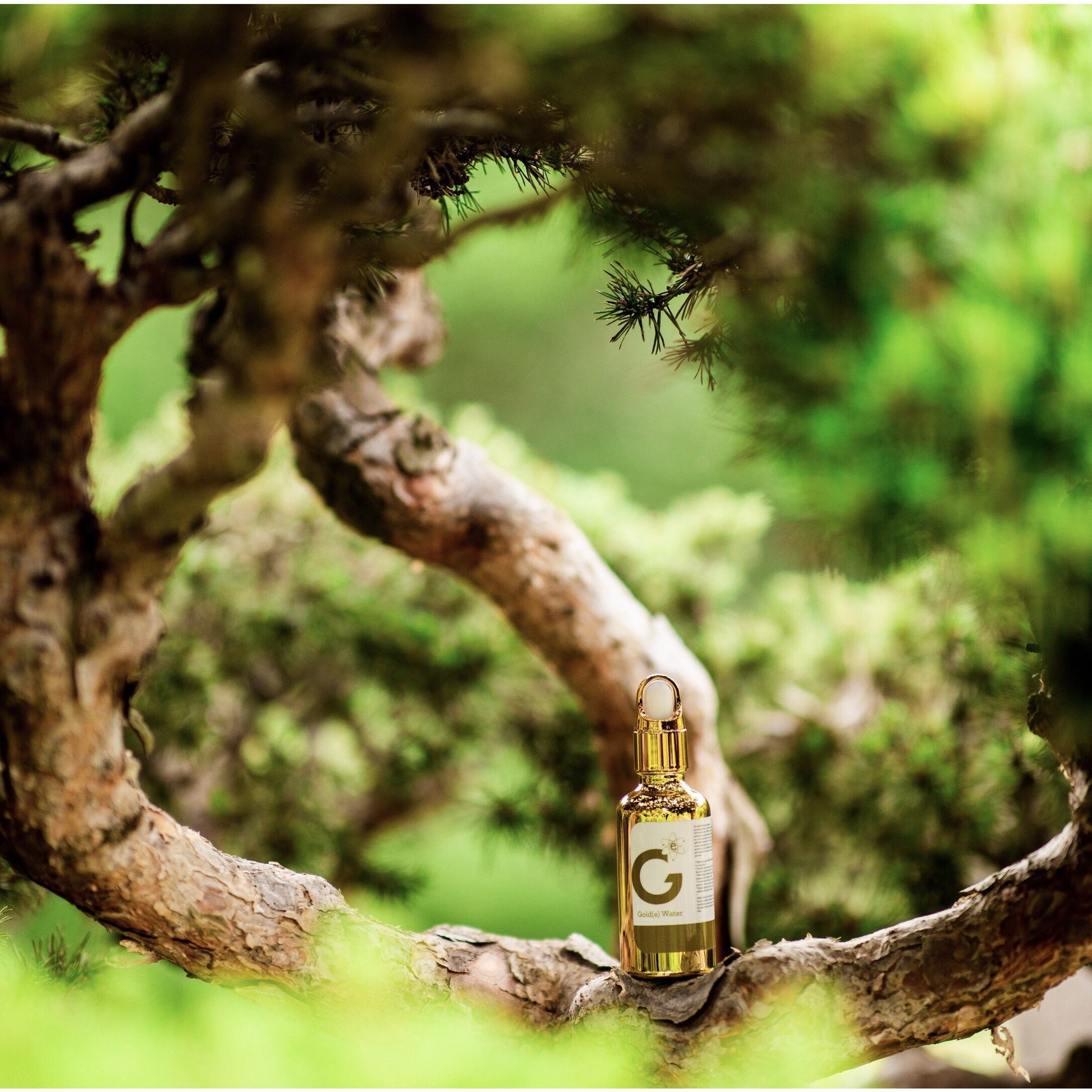 Goldewater - Monatomic | GWCorp